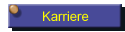 Karriere